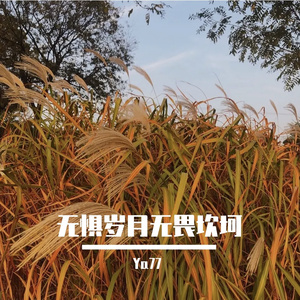 无惧岁月无畏坎坷（Cover.by BOOGIEMAN/大宁儿）