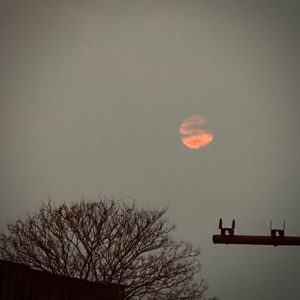 100%(remix)(feat.T.R.P)