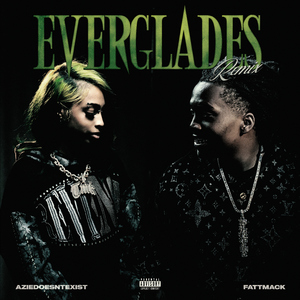 Everglades (Remix)