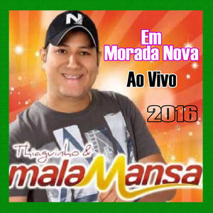 Que pena que acabou - THIAGUINHO MALA MANSA