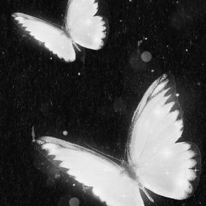 多想留在你身边