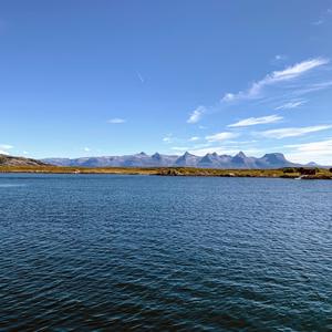 By the shadows! (Freddy Spin Remix)