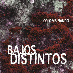 Porro (feat. Nathalie Gampert)