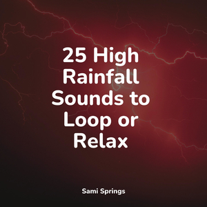 White Noise Drip Drop Rains