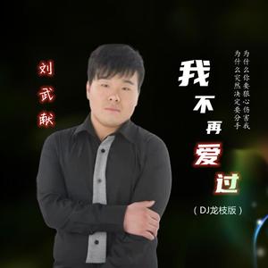 我不再爱过 (DJ龙枝版伴奏)