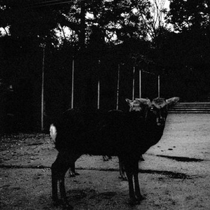 Kita Dilahirkan Untuk Mati