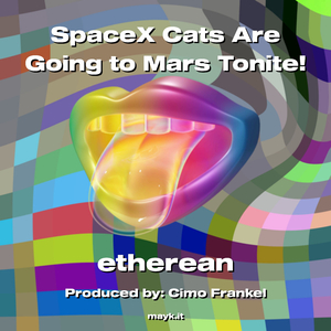 SpaceX Cats Are Going to Mars Tonite!