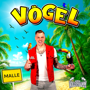 Vögel