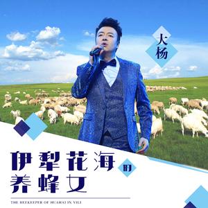 伊犁花海的养蜂女 (男声版)