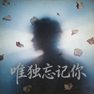 唯独忘了你