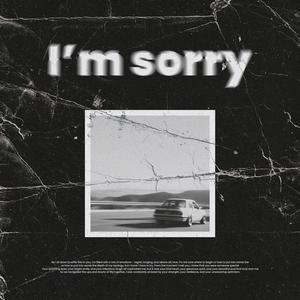 I'm Sorry (speed up)