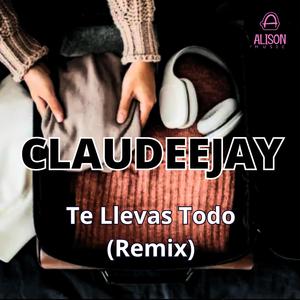 Te Llevas Todo (Remix)