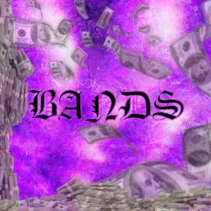 BANDS (feat. RM$Sosanami)