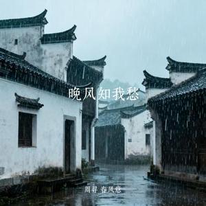晚风知我愁