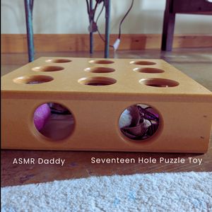 Seventeen Hole Puzzle Toy
