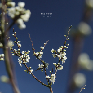 힘들면 내게 기대