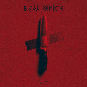 bıçak kemikte