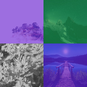 微妙的餐厅心情