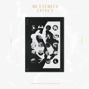 会飞的蛾子（翻自 小天）