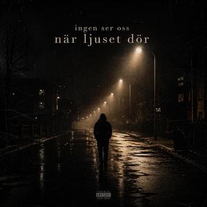 Ingen ser oss när ljuset dör