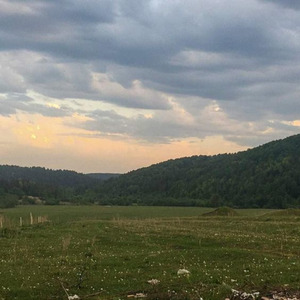 уличная жизнь