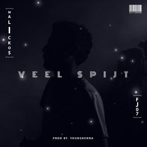 Veel Spijt (feat. Malicko$)