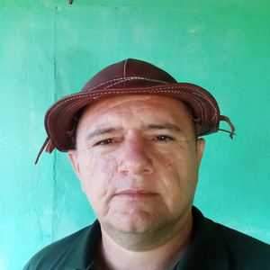 Uma dose de uísque