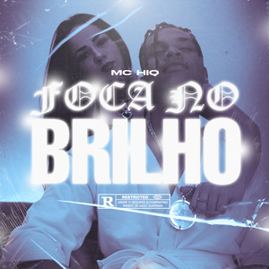 Foca no Brilho
