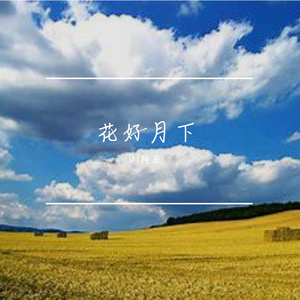 41