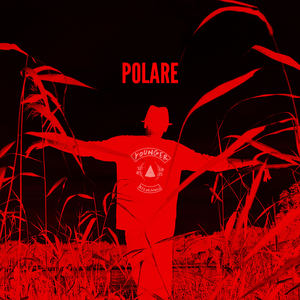 Polare
