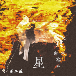 飞向天空的星