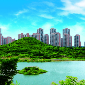 多彩金元 激情奉献