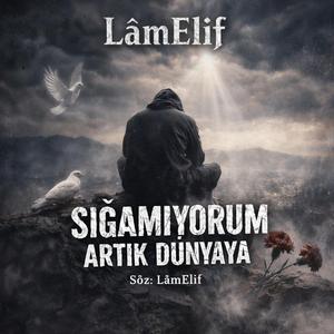 Sığamıyorum Artık Dünyaya