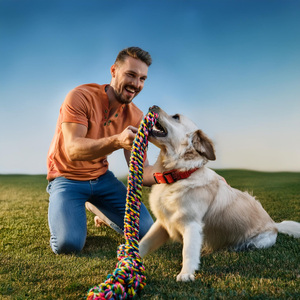 Sincronización Puntual De Olfateo