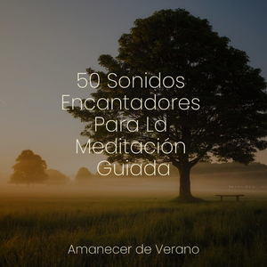 Canción del Sílfide Encantado