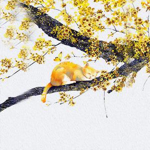 真的好想你 (二胡版)