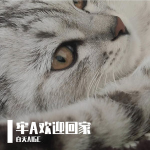 人在中国，刚下飞机