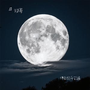 佛前求了千百遍（Cover 沧桑小杰）