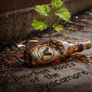 Bourbon Roots of the Sycamore