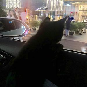 San E-我看着你（Lislon_ remix）