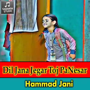 Dil Jana Jegar Toj PaNesar