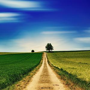 Walking The Quiet Country Roads