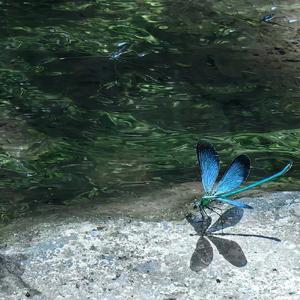 你知道我最害怕一个人天黑