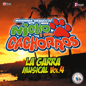 Mix Ranchicumbias 4: No Pude Enamorarme Más / Golpes en el Corazón / Por el Amor de una Mujer / José Pérez León