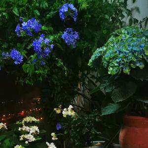 陕甘宁曲牌 大祭灵