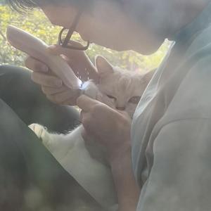 我们的家