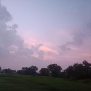 DZ knowknow type beat