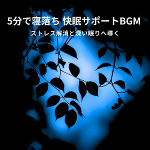 α波音で安らぎの夜を迎える