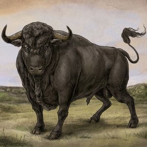 Renaissance! (Commentary)