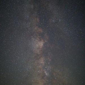 因为我曾见过星光